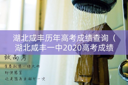 湖北咸丰历年高考成绩查询（湖北咸丰一中2020高考成绩）