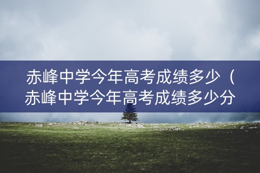 赤峰中学今年高考成绩多少（赤峰中学今年高考成绩多少分）