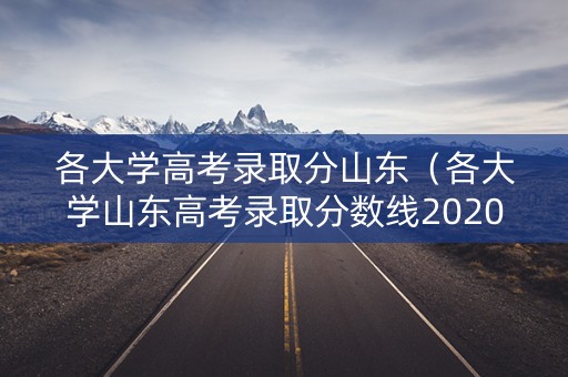 各大学高考录取分山东（各大学山东高考录取分数线2020）