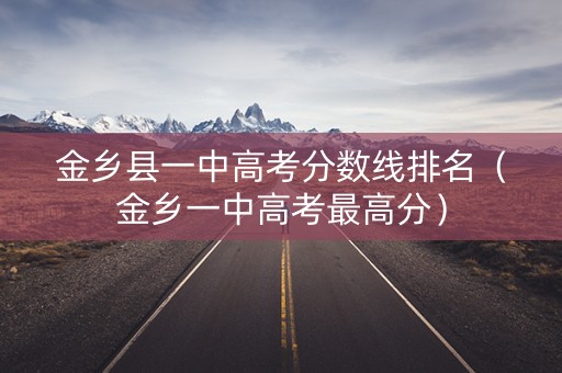 金乡县一中高考分数线排名（金乡一中高考最高分）