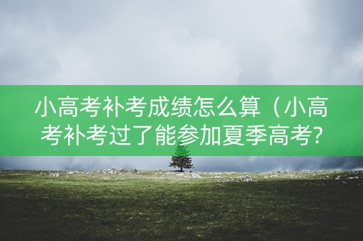 小高考补考成绩怎么算（小高考补考过了能参加夏季高考?）
