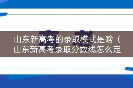 山东新高考的录取模式是啥（山东新高考录取分数线怎么定）