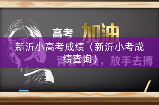 新沂小高考成绩（新沂小考成绩查询）