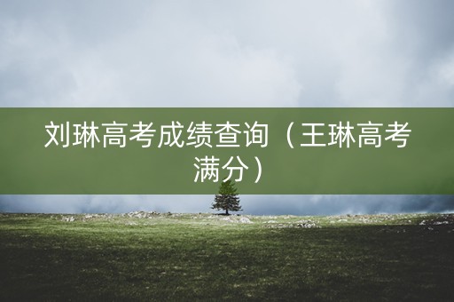 刘琳高考成绩查询（王琳高考满分）