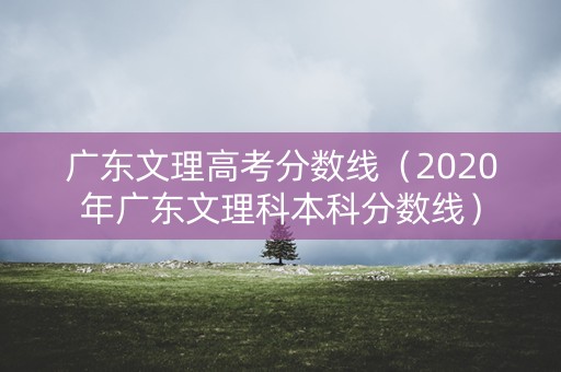 广东文理高考分数线（2020年广东文理科本科分数线）