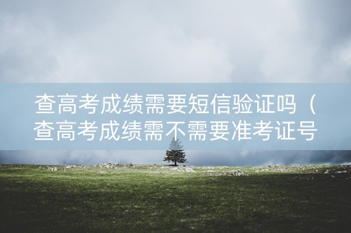 查高考成绩需要短信验证吗（查高考成绩需不需要准考证号）