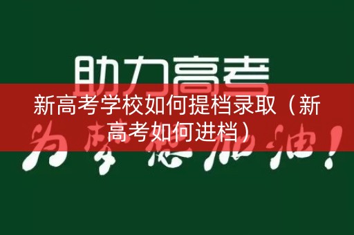 新高考学校如何提档录取（新高考如何进档）