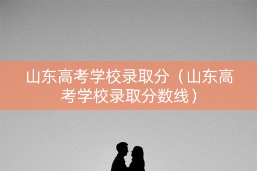 山东高考学校录取分（山东高考学校录取分数线）