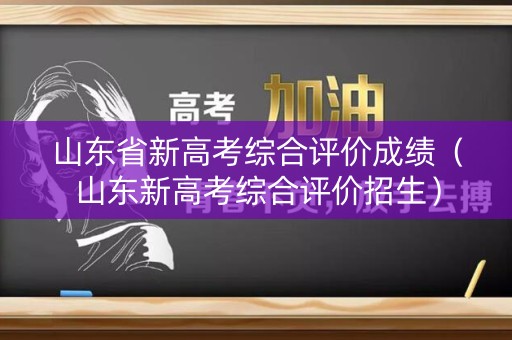 山东省新高考综合评价成绩（山东新高考综合评价招生）