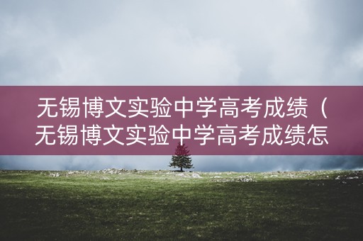 无锡博文实验中学高考成绩（无锡博文实验中学高考成绩怎么样）