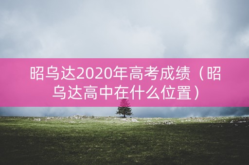 昭乌达2020年高考成绩（昭乌达高中在什么位置）