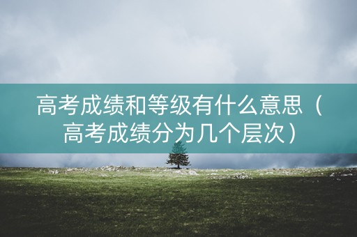 高考成绩和等级有什么意思（高考成绩分为几个层次）
