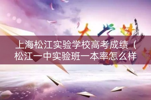 上海松江实验学校高考成绩（松江一中实验班一本率怎么样）