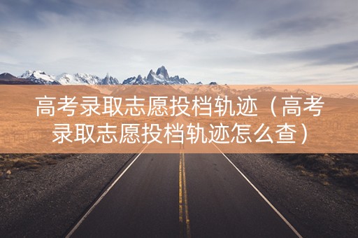 高考录取志愿投档轨迹（高考录取志愿投档轨迹怎么查）
