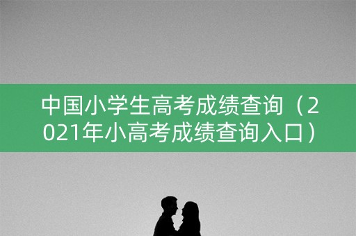 中国小学生高考成绩查询（2021年小高考成绩查询入口）