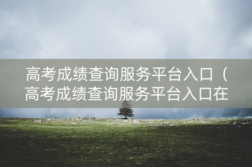高考成绩查询服务平台入口（高考成绩查询服务平台入口在哪）