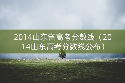 2014山东省高考分数线（2014山东高考分数线公布）