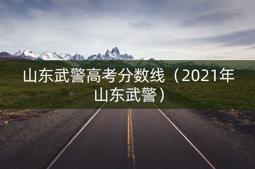 山东武警高考分数线（2021年山东武警）