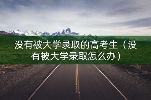 没有被大学录取的高考生（没有被大学录取怎么办）