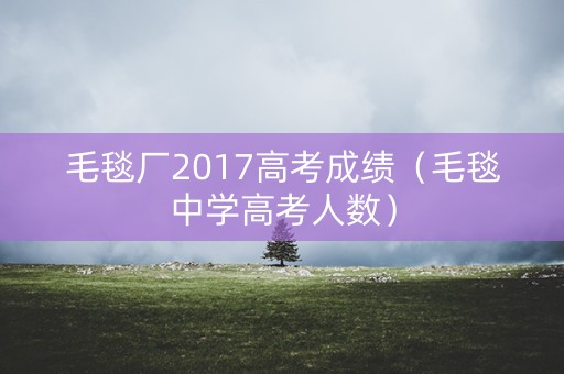 毛毯厂2017高考成绩（毛毯中学高考人数）