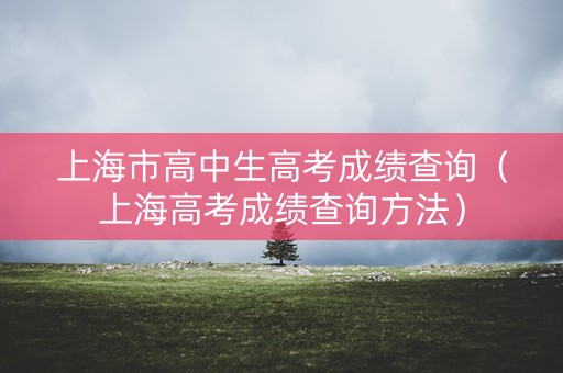 上海市高中生高考成绩查询（上海高考成绩查询方法）