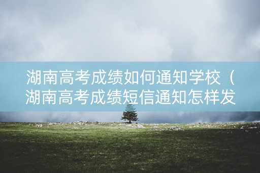 湖南高考成绩如何通知学校（湖南高考成绩短信通知怎样发送）