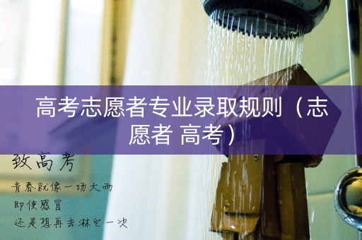 高考志愿者专业录取规则（志愿者 高考）