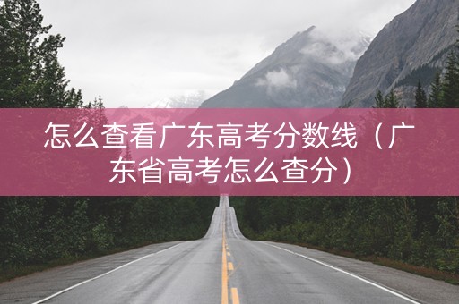 怎么查看广东高考分数线（广东省高考怎么查分）