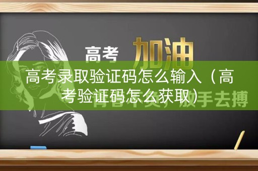 高考录取验证码怎么输入（高考验证码怎么获取）