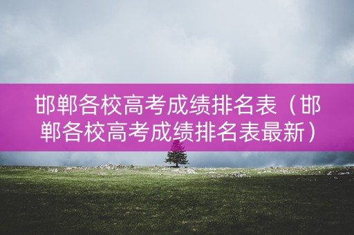 邯郸各校高考成绩排名表（邯郸各校高考成绩排名表最新）