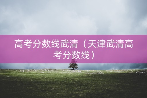 高考分数线武清（天津武清高考分数线）