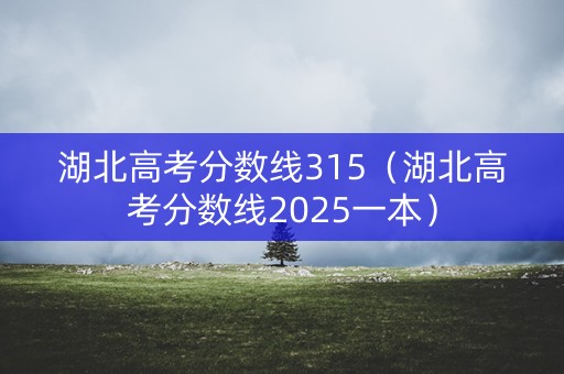 湖北高考分数线315（湖北高考分数线2025一本）