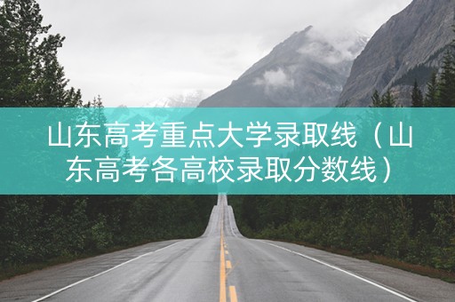 山东高考重点大学录取线（山东高考各高校录取分数线）