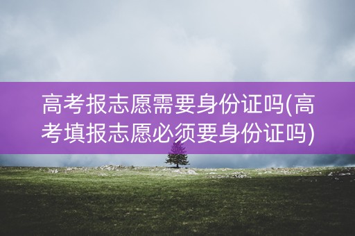 高考报志愿需要身份证吗(高考填报志愿必须要身份证吗) 高考报志愿需要身份证吗(高考填报志愿必须要身份证吗)