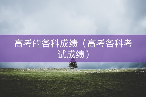 高考的各科成绩（高考各科考试成绩）