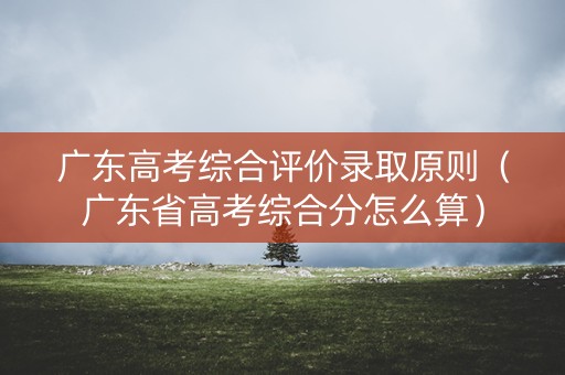 广东高考综合评价录取原则（广东省高考综合分怎么算）
