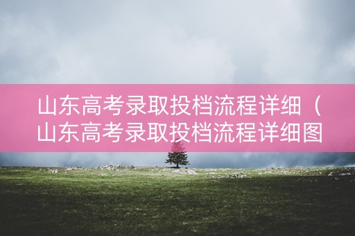 山东高考录取投档流程详细（山东高考录取投档流程详细图）