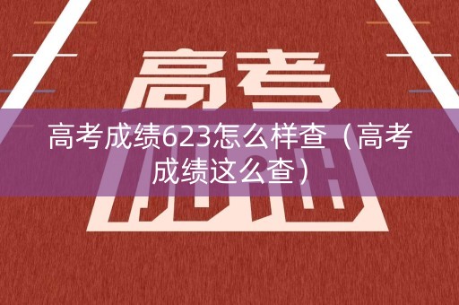 高考成绩623怎么样查（高考成绩这么查）