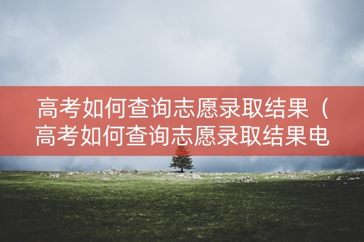 高考如何查询志愿录取结果（高考如何查询志愿录取结果电子版）