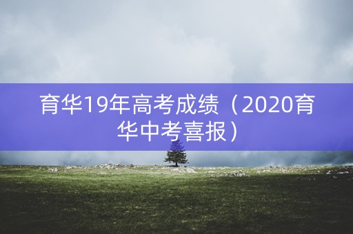 育华19年高考成绩（2020育华中考喜报）