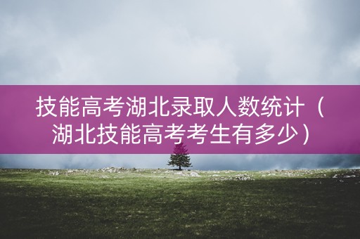 技能高考湖北录取人数统计（湖北技能高考考生有多少）