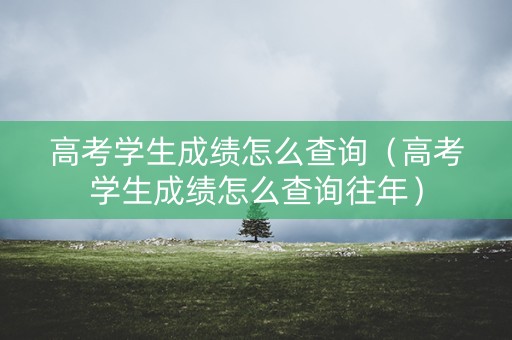高考学生成绩怎么查询（高考学生成绩怎么查询往年）