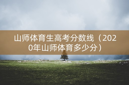 山师体育生高考分数线（2020年山师体育多少分）