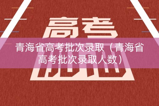 青海省高考批次录取（青海省高考批次录取人数）