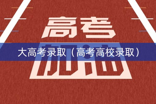 大高考录取（高考高校录取）