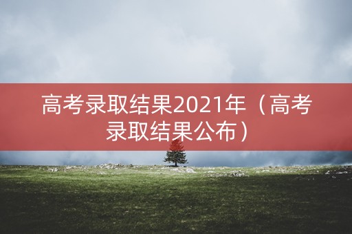 高考录取结果2021年（高考录取结果公布）