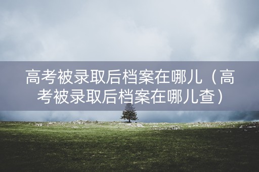 高考被录取后档案在哪儿（高考被录取后档案在哪儿查）