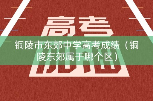 铜陵市东郊中学高考成绩（铜陵东郊属于哪个区）