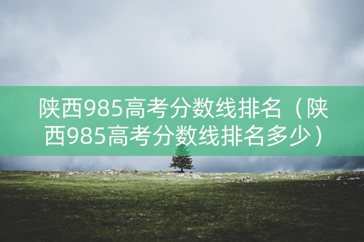 陕西985高考分数线排名（陕西985高考分数线排名多少）