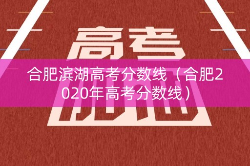 合肥滨湖高考分数线（合肥2020年高考分数线）